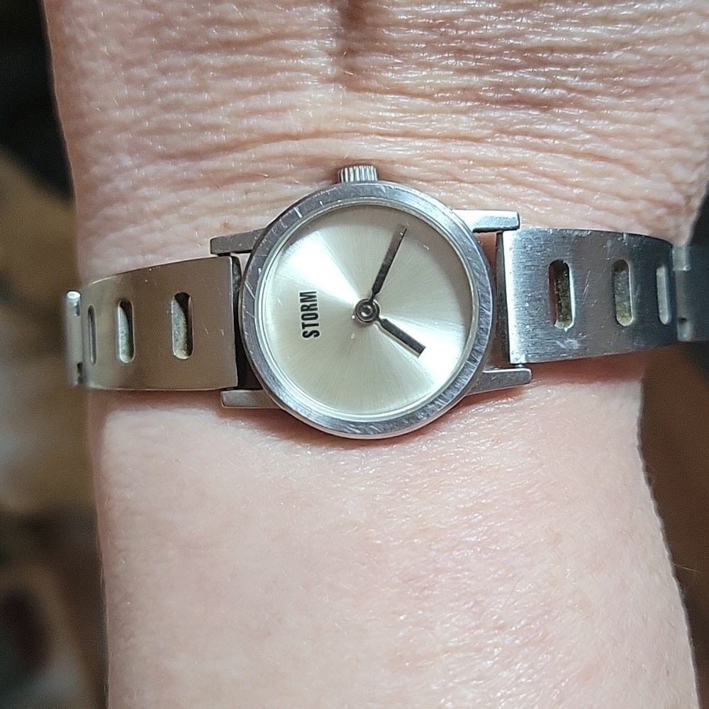 Vintage Storm Watch
